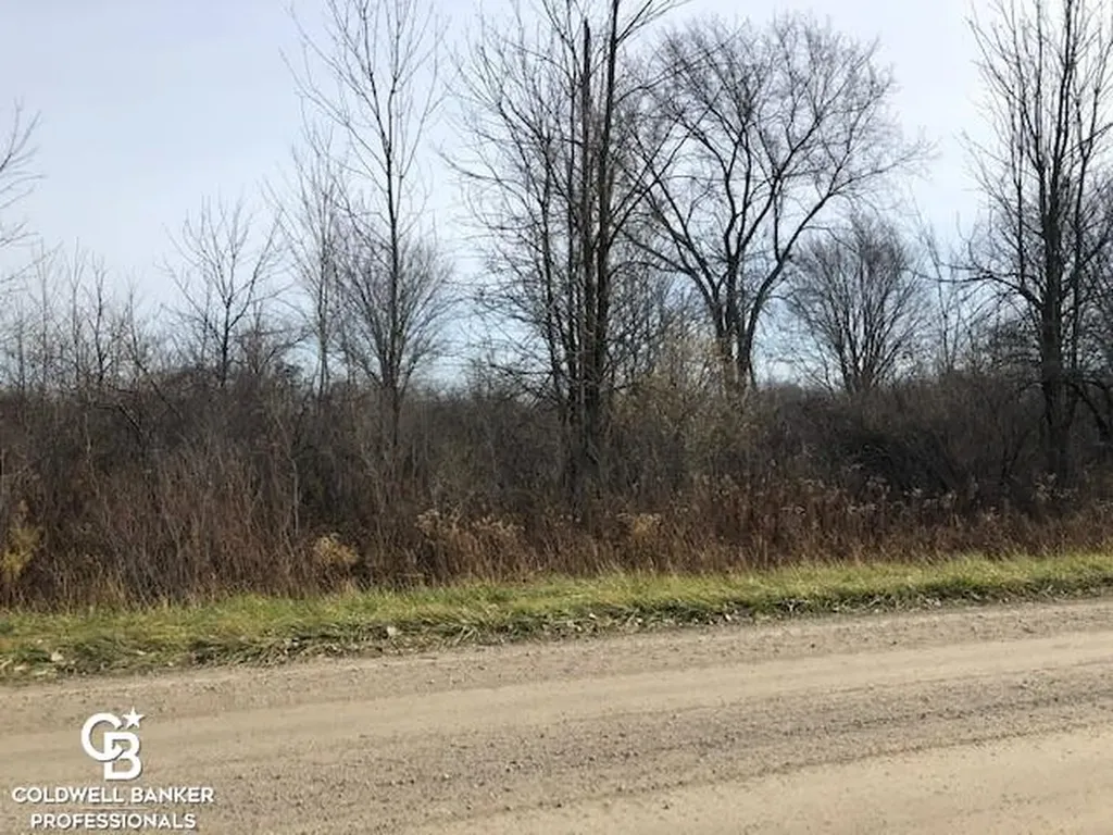 00 Cowhy Road Parcel "b" Road Riley Township MI 48041