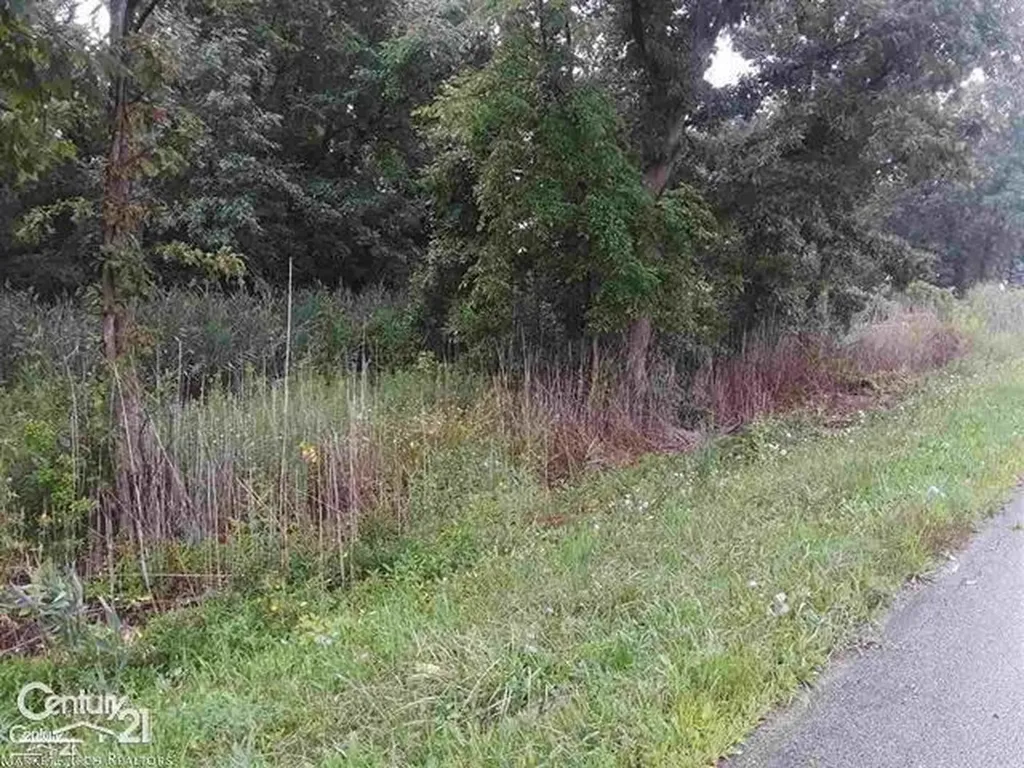 00000 21 Mile Road Chesterfield Township MI 48047