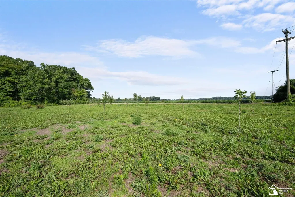 12501 Dixon Road Dundee Village MI 48131