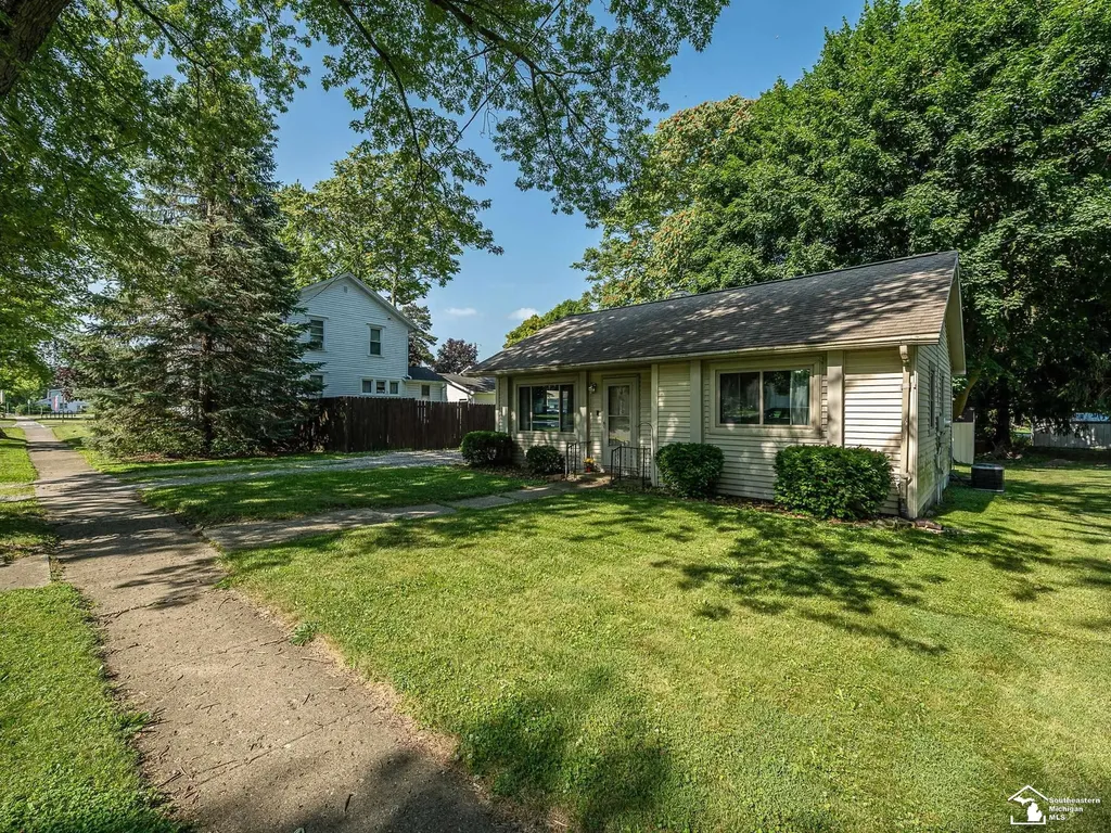 220 Raisin Street Deerfield Village MI 49238