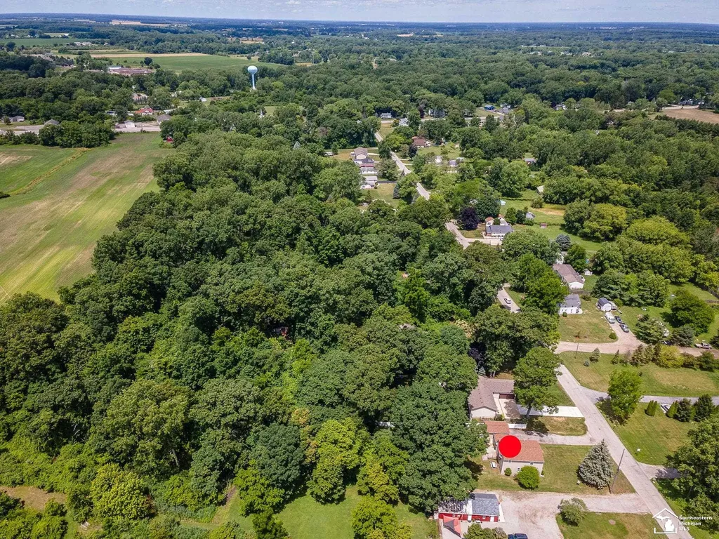 3881 E Stein Road La Salle Township MI 48145
