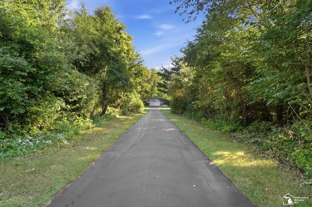 4358 Rauch Road Summerfield Township MI 49270
