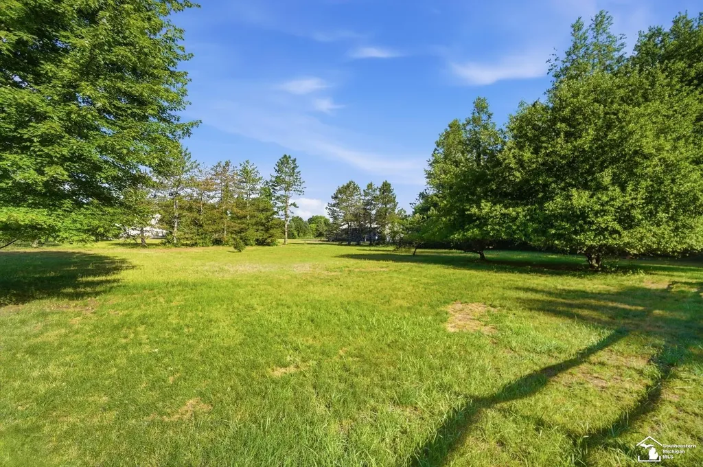 4358 Rauch Road Summerfield Township MI 49270