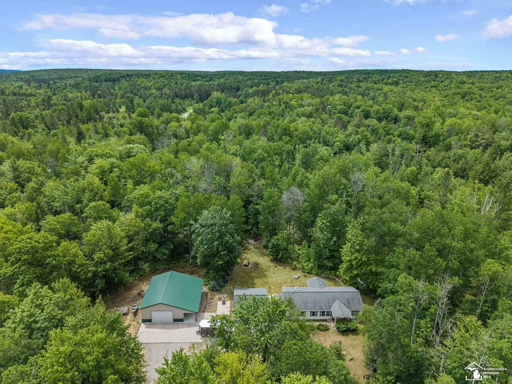 13332 Twin Lk Road NE Road Blue Lake Township MI 49646