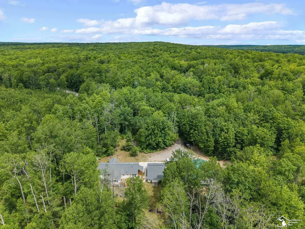 13332 Twin Lk Road NE Road Blue Lake Township MI 49646