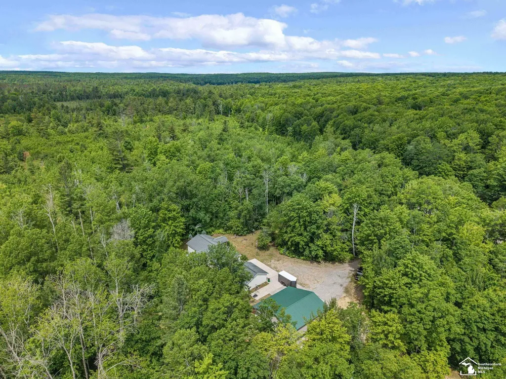 13332 Twin Lk Road NE Road Blue Lake Township MI 49646