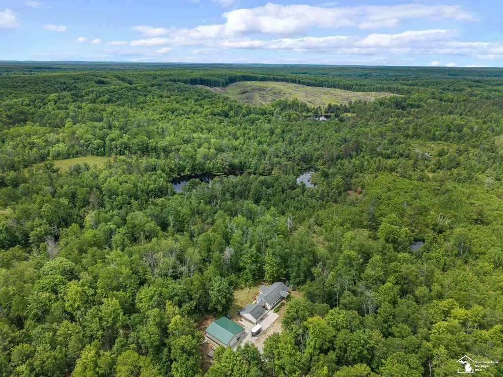 13332 Twin Lk Road NE Road Blue Lake Township MI 49646