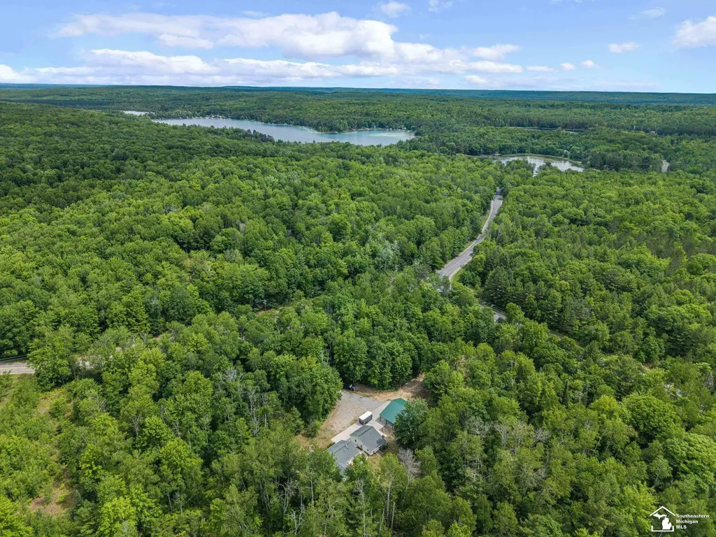 13332 Twin Lk Road NE Road Blue Lake Township MI 49646