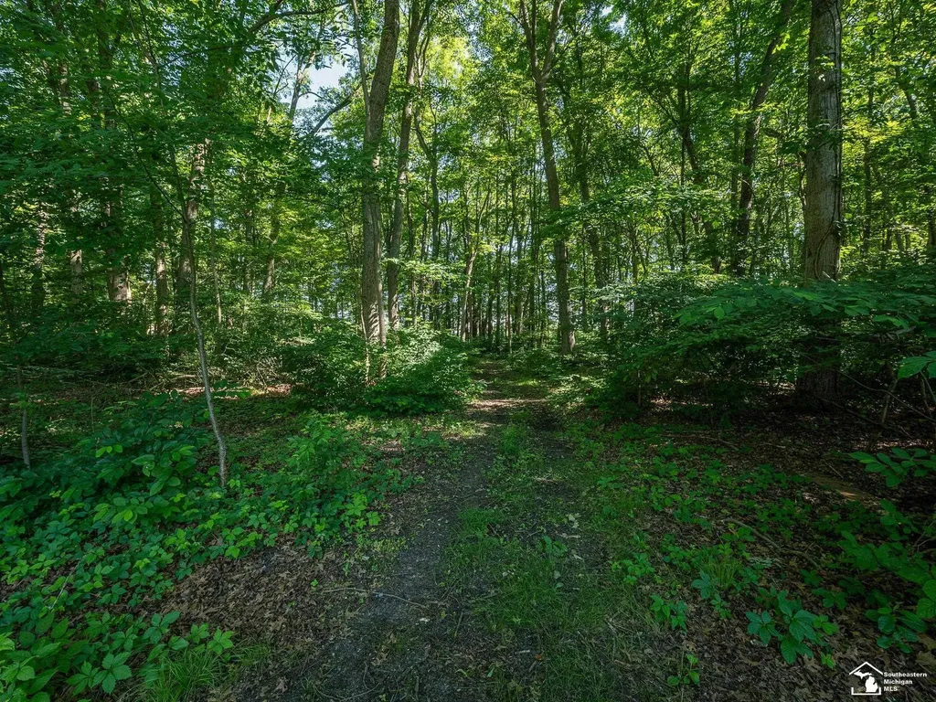 4496 School Road Whiteford Township MI 48182