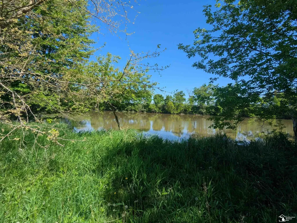 0 Dixon Road Raisinville Township MI 48161