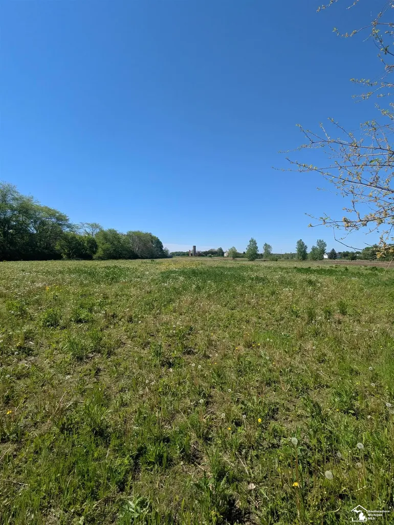 0 Dixon Road Raisinville Township MI 48161