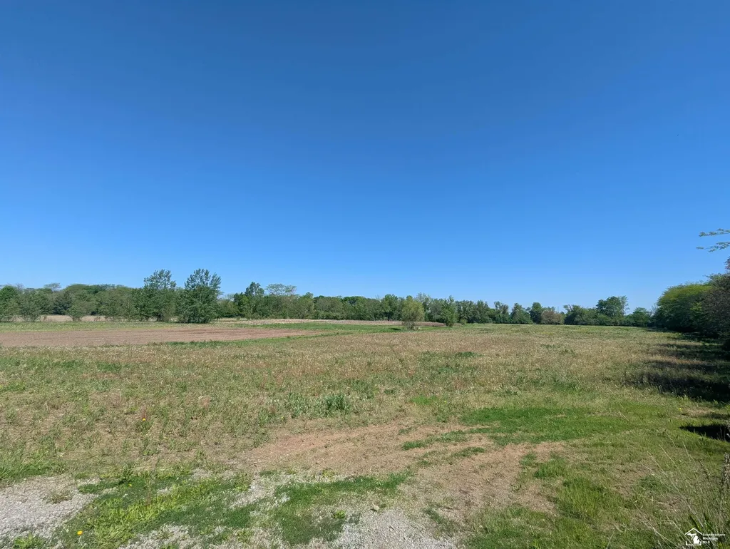 0 Dixon Road Raisinville Township MI 48161