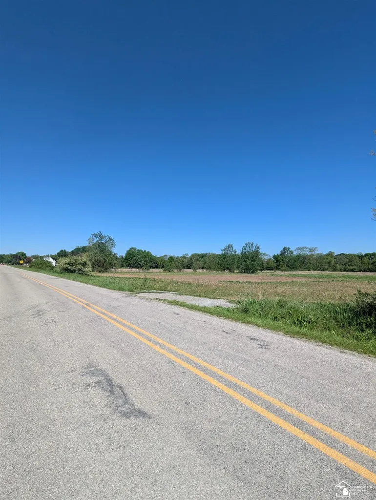 0 Dixon Road Raisinville Township MI 48161