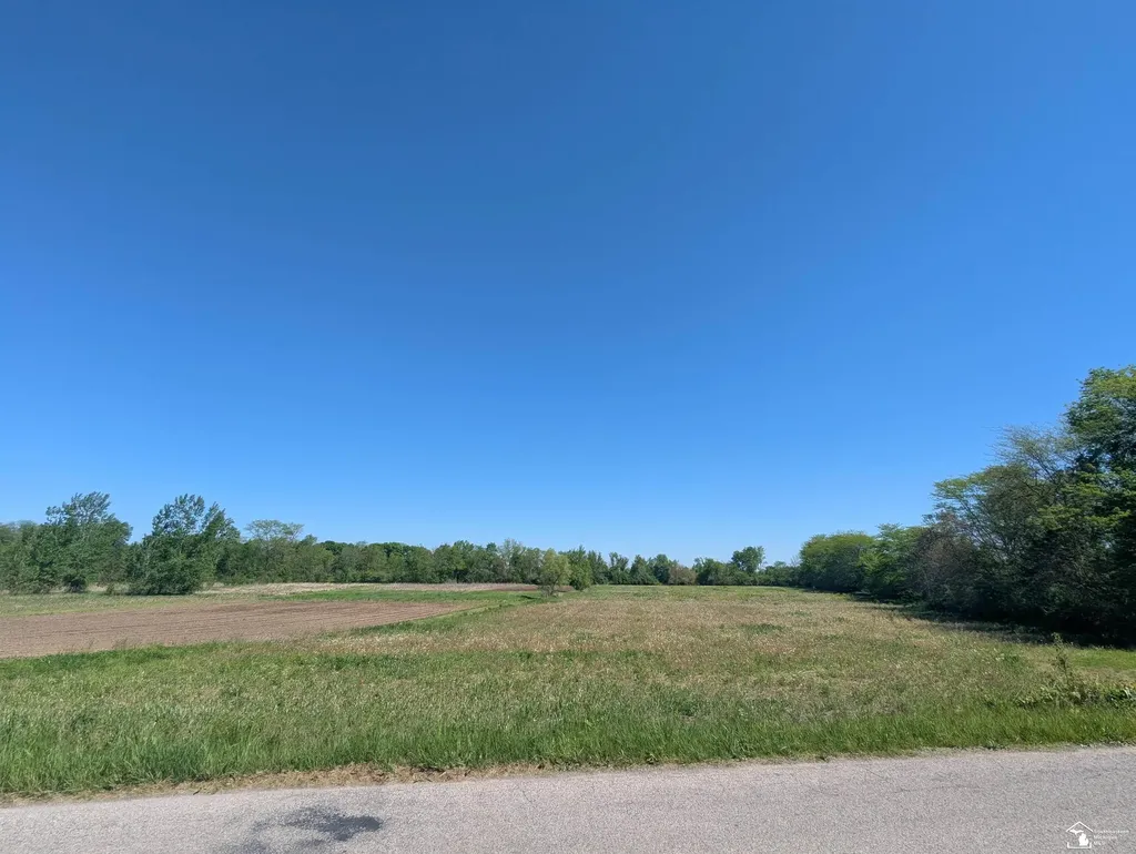 0 Dixon Road Raisinville Township MI 48161