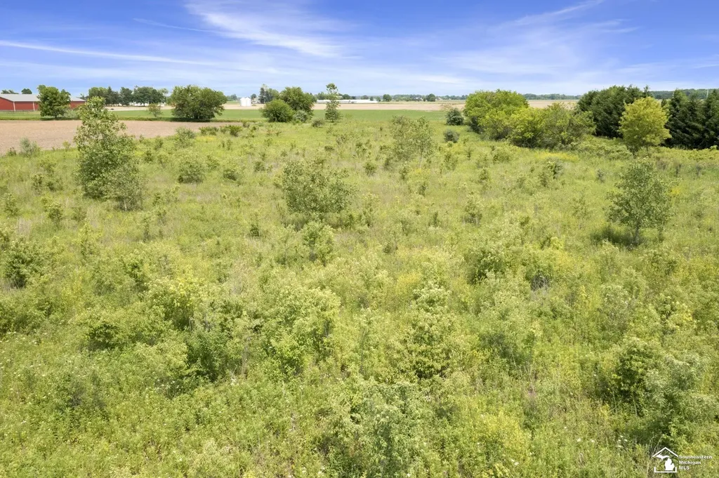 3993 Lewis Avenue Ida Township MI 48140