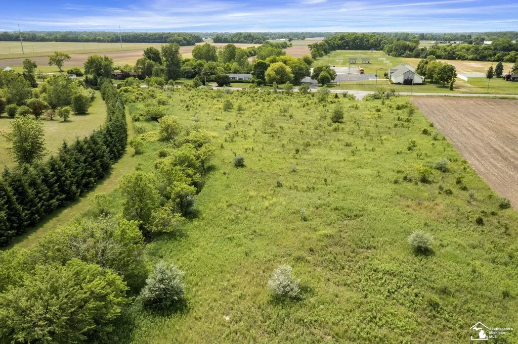 3993 Lewis Avenue Ida Township MI 48140