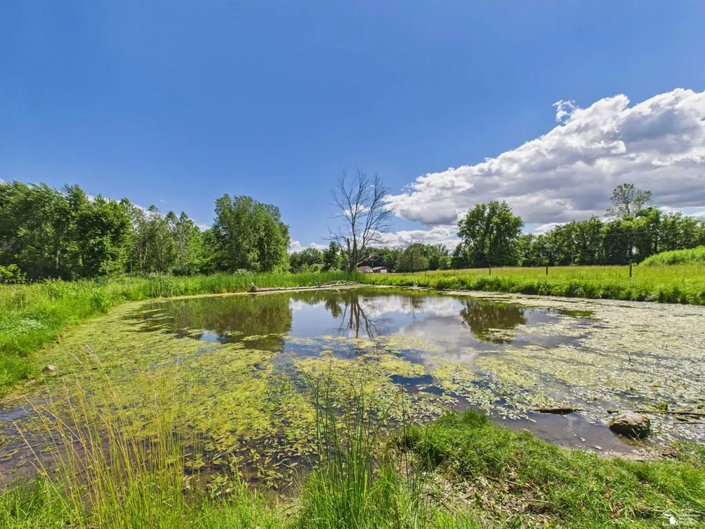 6068 Talladay Road Augusta Charter Township MI 48160