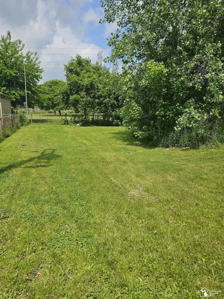 32256 York Street Rockwood City MI 48173
