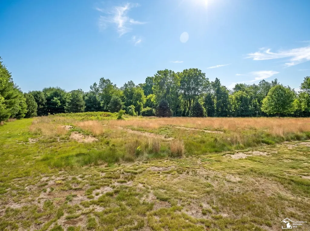 4675 Secor Road Ida Township MI 48140