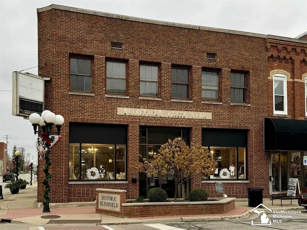 101 S Lane Street Blissfield Village MI 49228