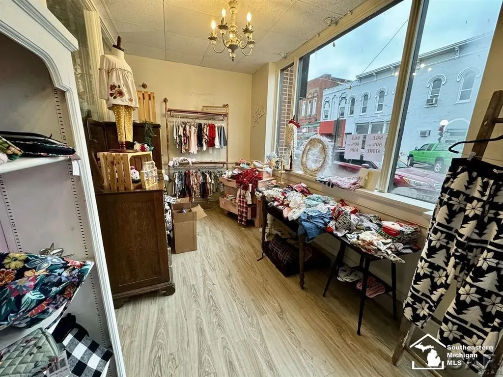101 S Lane Street Blissfield Village MI 49228