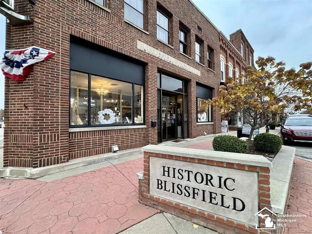 101 S Lane Street Blissfield Village MI 49228