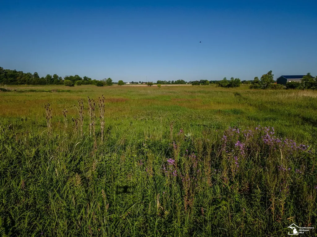 0 Sylvania Petersburg Road Whiteford Township MI 49267
