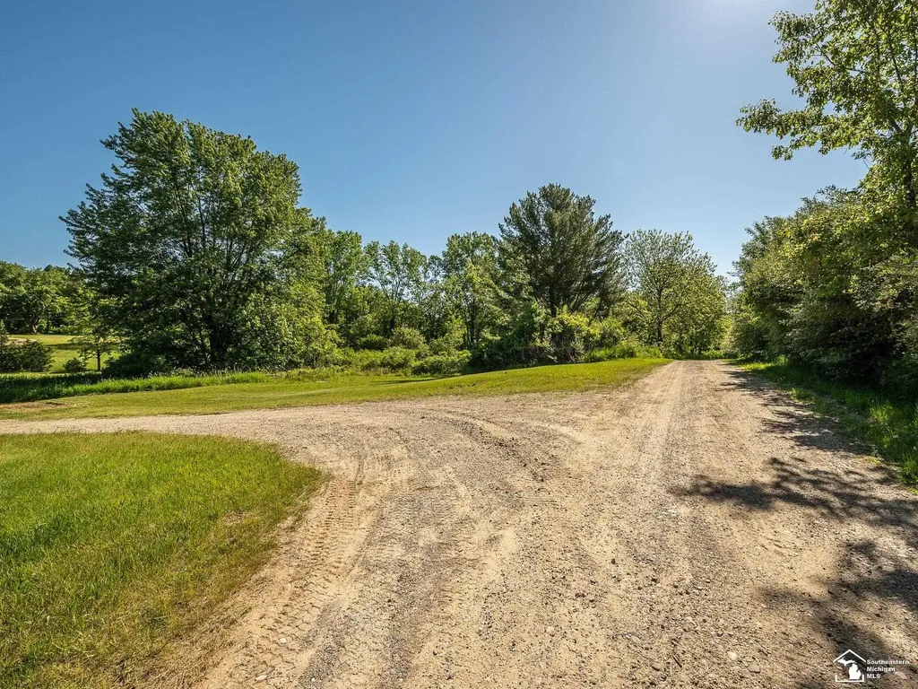 123 S Freer Road Lima Township MI 48118