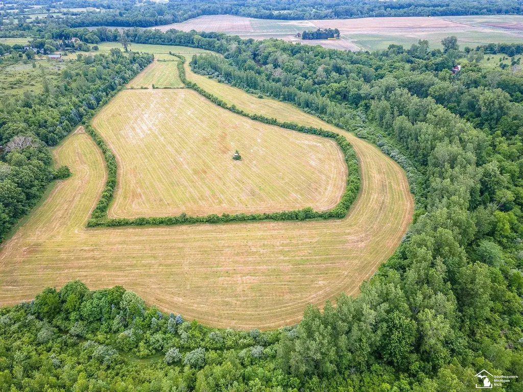 13999 Rightmire Road Dundee Township MI 48131