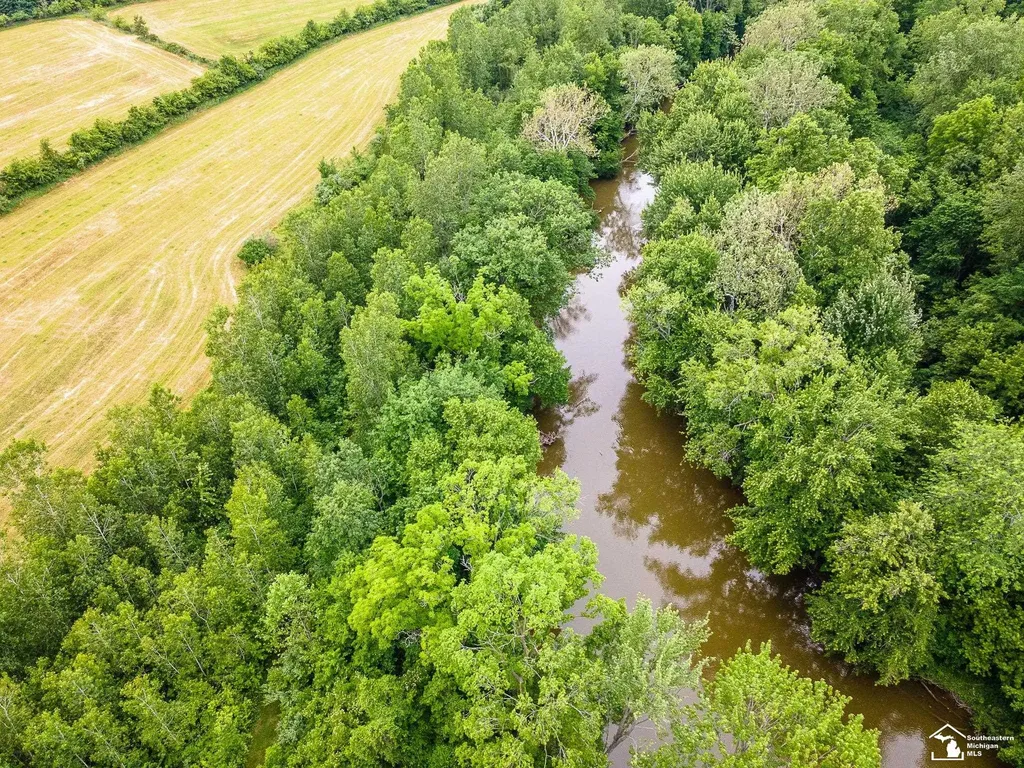 13999 Rightmire Road Dundee Township MI 48131