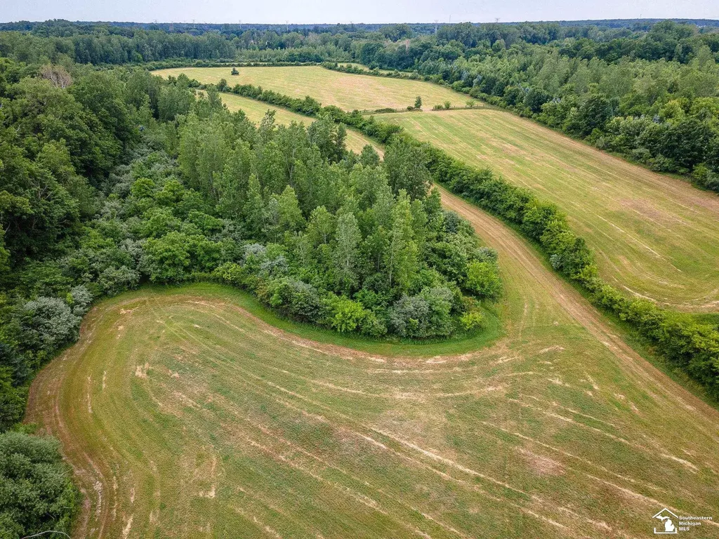 13999 Rightmire Road Dundee Township MI 48131