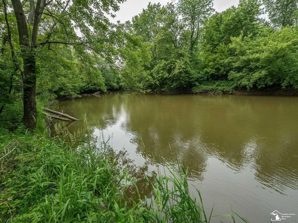 13999 Rightmire Road Dundee Township MI 48131