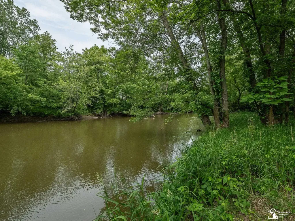 13999 Rightmire Road Dundee Township MI 48131