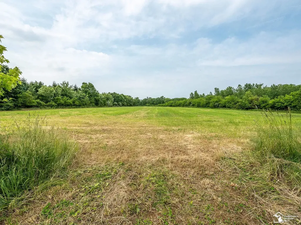 13999 Rightmire Road Dundee Township MI 48131