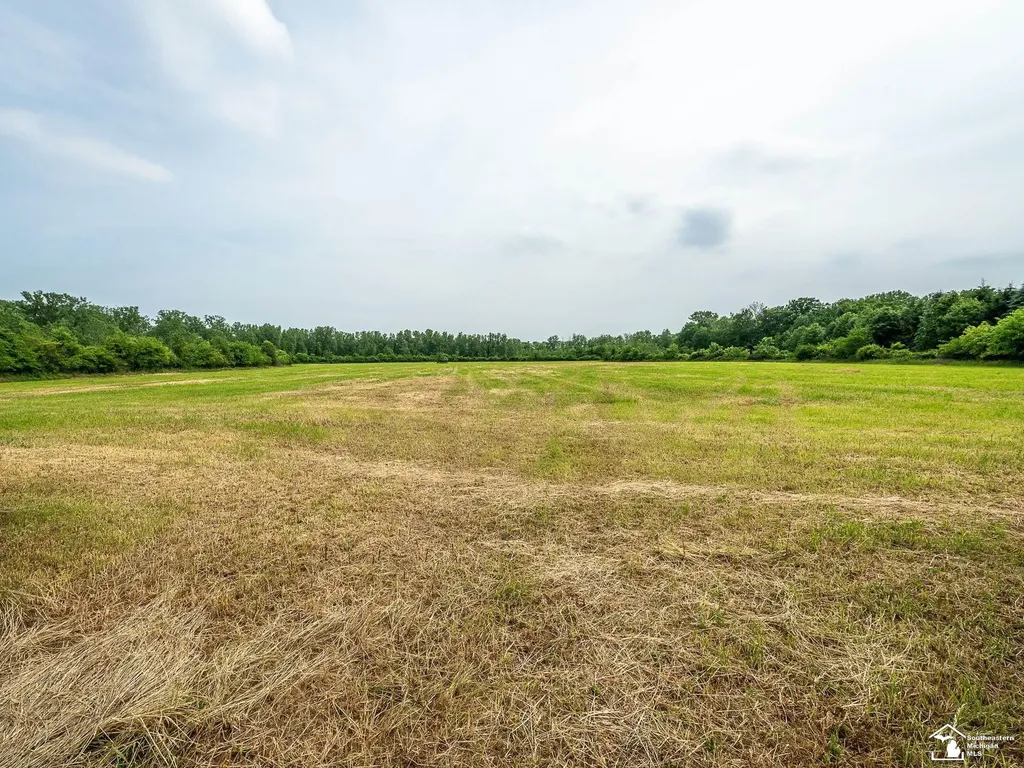 13999 Rightmire Road Dundee Township MI 48131