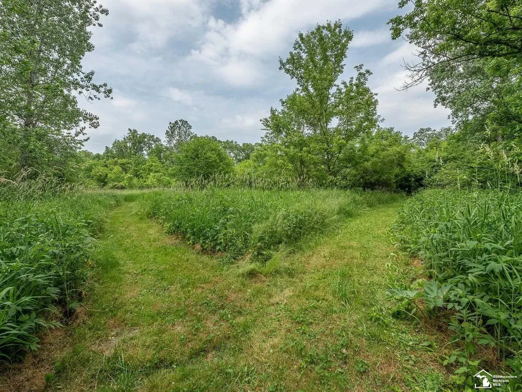 13999 Rightmire Road Dundee Township MI 48131