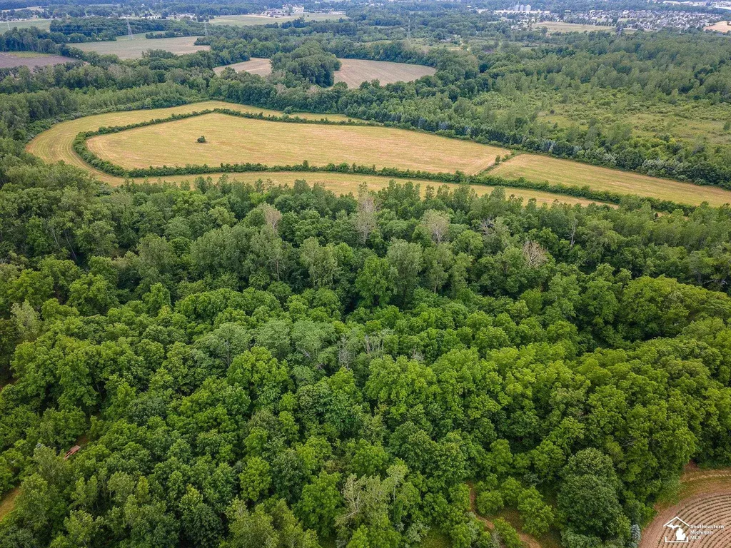 13999 Rightmire Road Dundee Township MI 48131