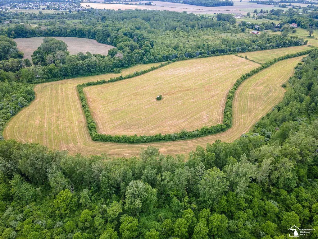 13999 Rightmire Road Dundee Township MI 48131