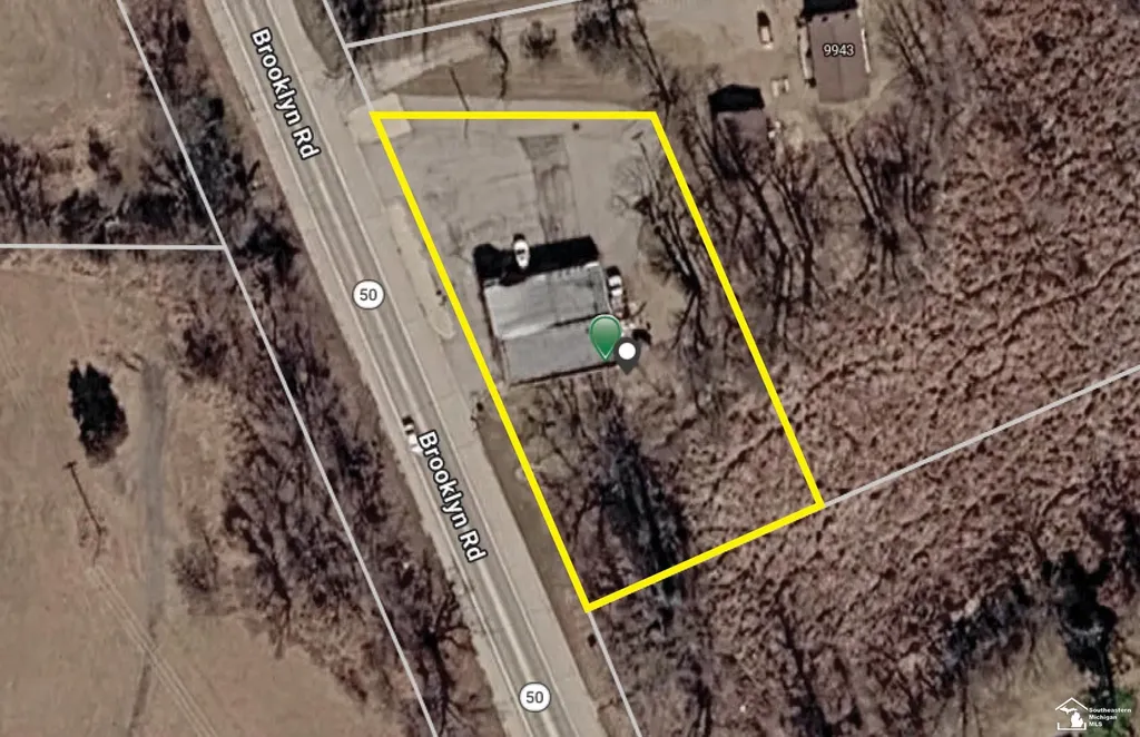 9947 Brooklyn Road Columbia Township MI 49230
