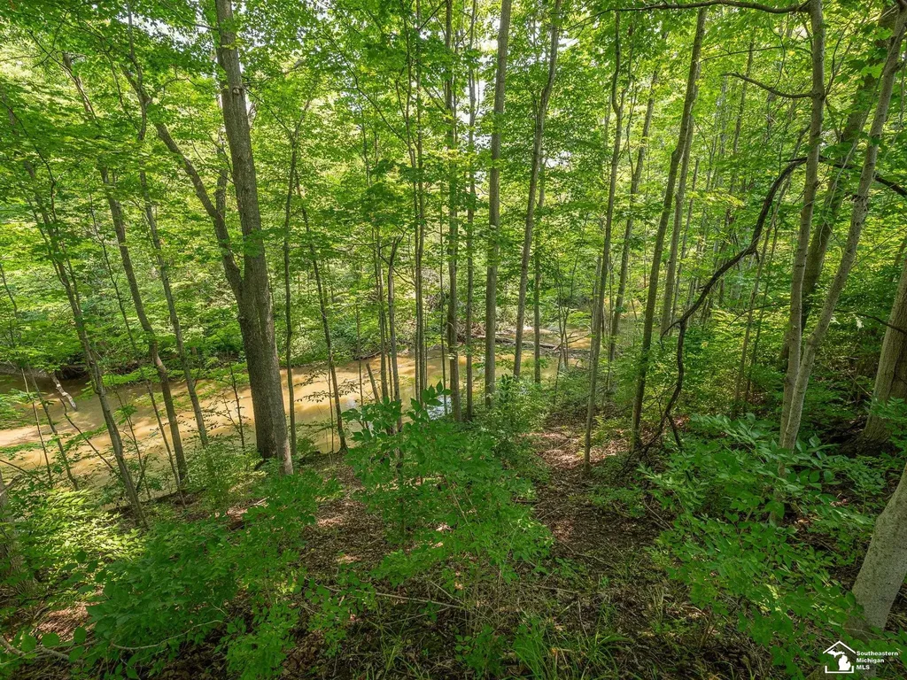 1606 Mooreville Road York Charter Township MI 48160