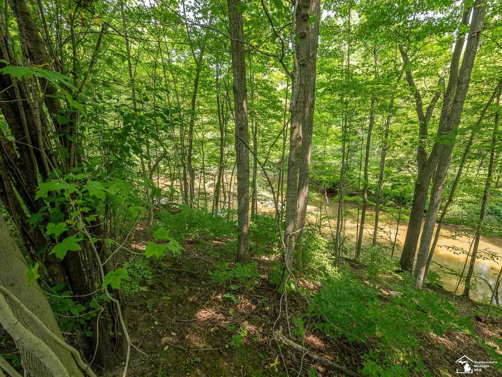 1606 Mooreville Road York Charter Township MI 48160
