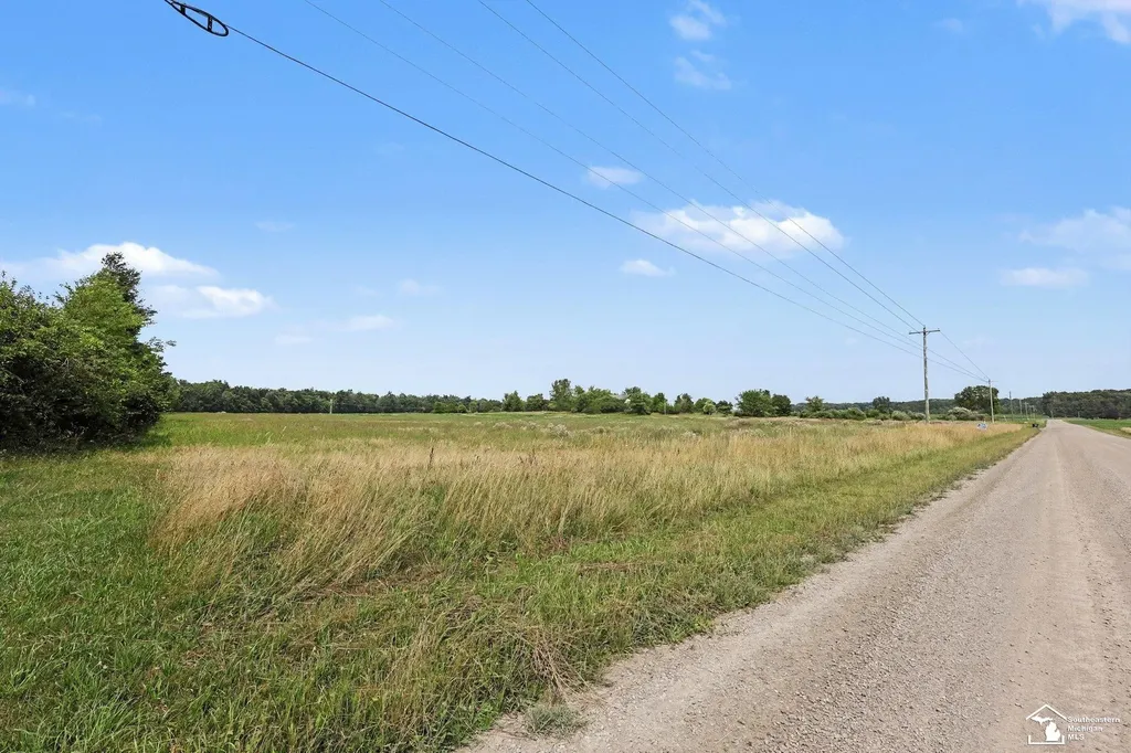 4000 Tomer Road Madison Charter Township MI 49221