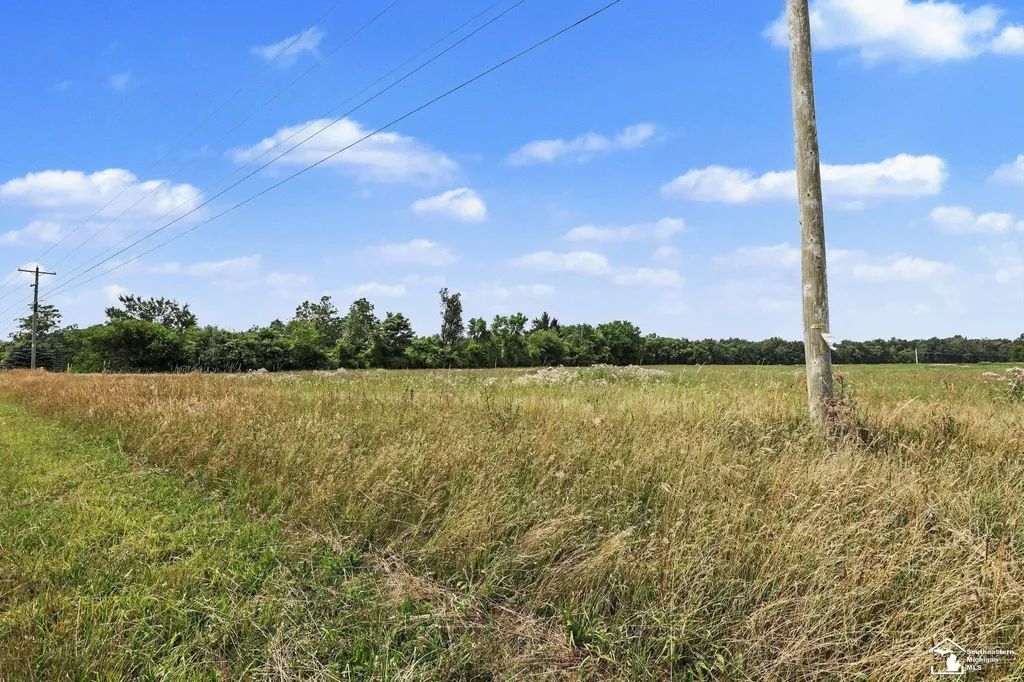 4000 Tomer Road Madison Charter Township MI 49221