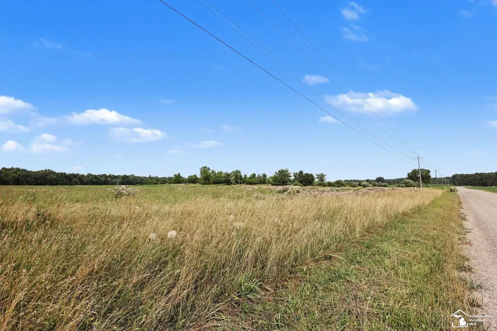 4000 Tomer Road Madison Charter Township MI 49221