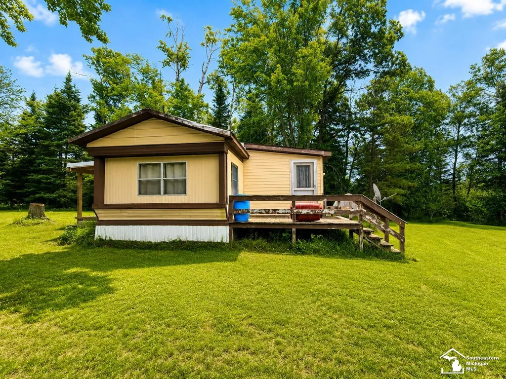 13881 Airport Road Avery Township MI 49709
