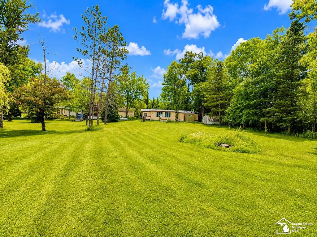 13881 Airport Road Avery Township MI 49709