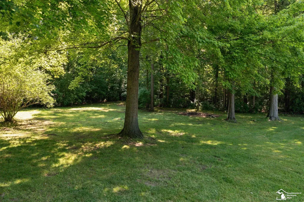 5355 Teal Road Summerfield Township MI 49270