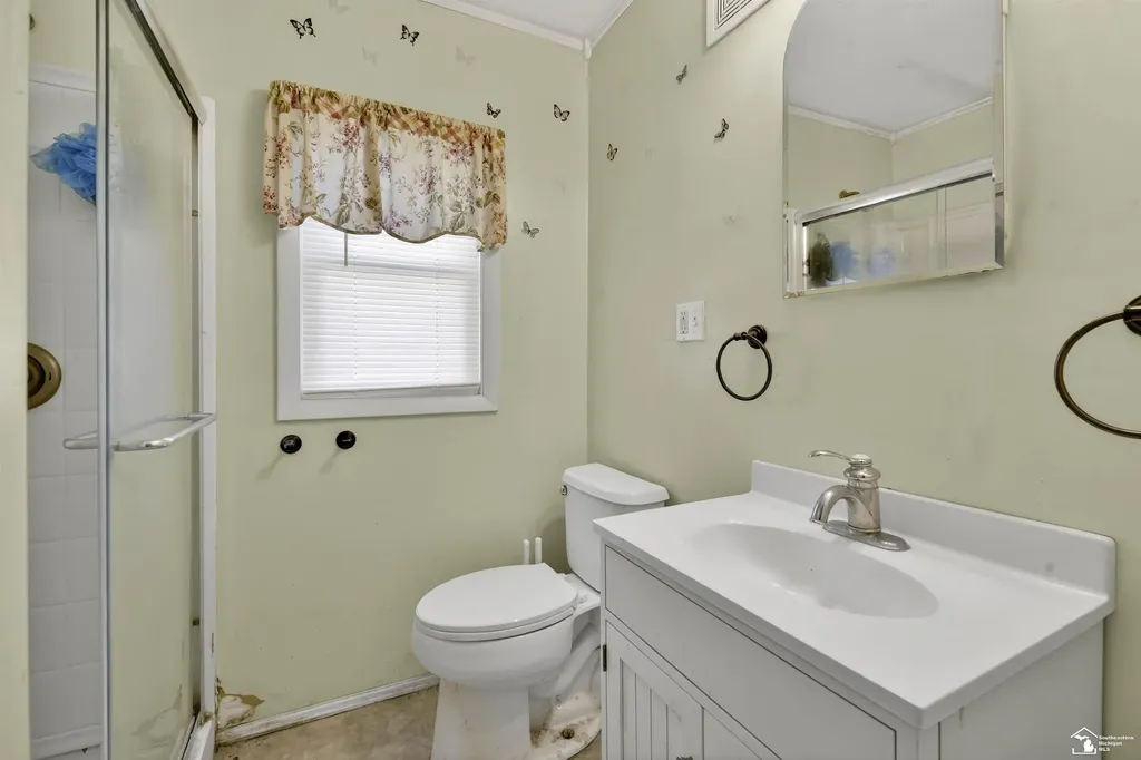 321 Cherry Street Blissfield Village MI 49228