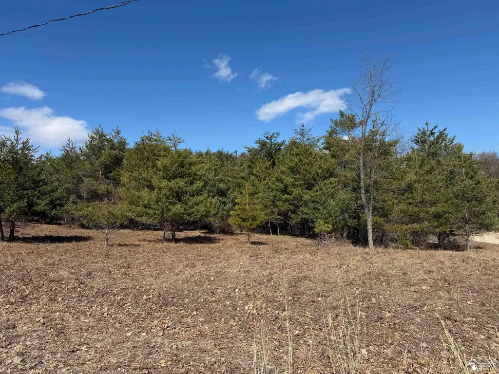 Ville Lot 184 Chippewa Trail Evart Township MI 49631