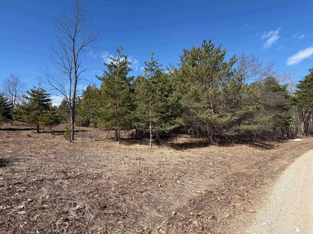 Ville Lot 184 Chippewa Trail Evart Township MI 49631